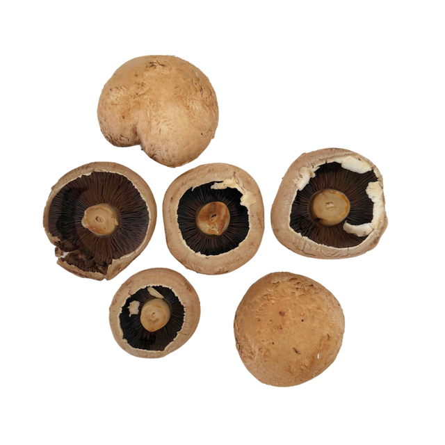 Portobello Mushrooms 250g