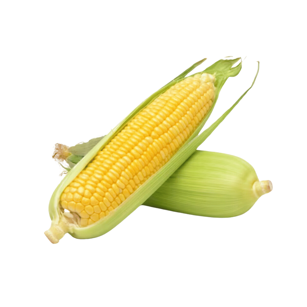 Sweet Corn 1 Piece The Meat Box sweet-corn-1-piece-the-meat-box