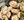 All Things Mushrooms With Rigatoni with Mushroom Sauce Recipe