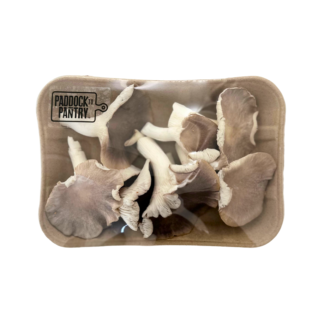 NZ Oyster Mushrooms- Beautiful selection of fresh cut meat delivered overnight by your favourite online butcher - The Meat Box, We specialise in delivering the best cuts straight to your door across New Zealand. | Meat Delivery | NZ Online Meat