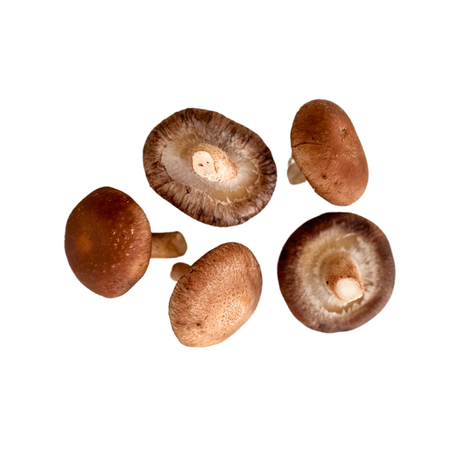 NZ Shiitake Mushrooms