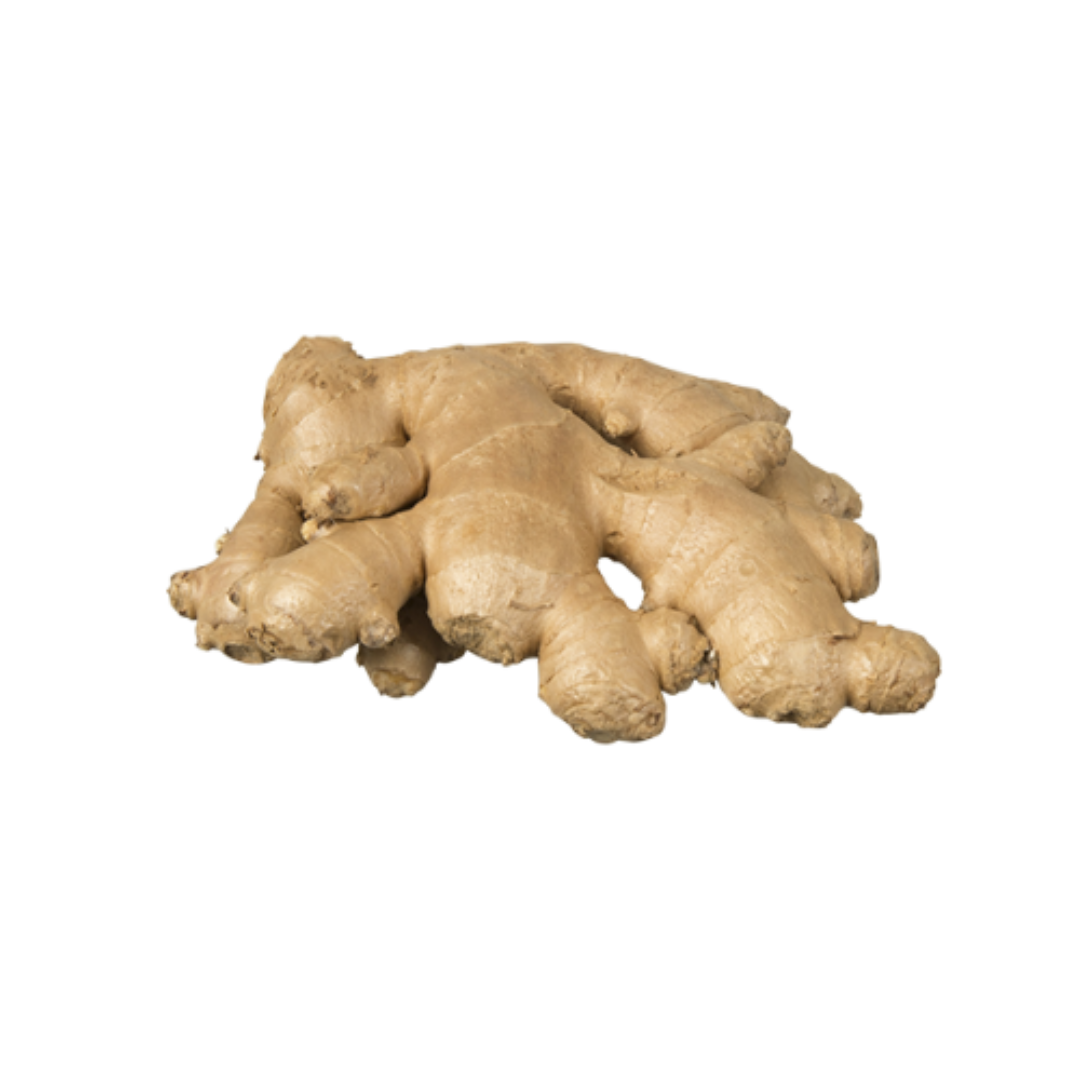 Ginger- Beautiful selection of fresh cut meat delivered overnight by your favourite online butcher - The Meat Box, We specialise in delivering the best cuts straight to your door across New Zealand. | Meat Delivery | NZ Online Meat