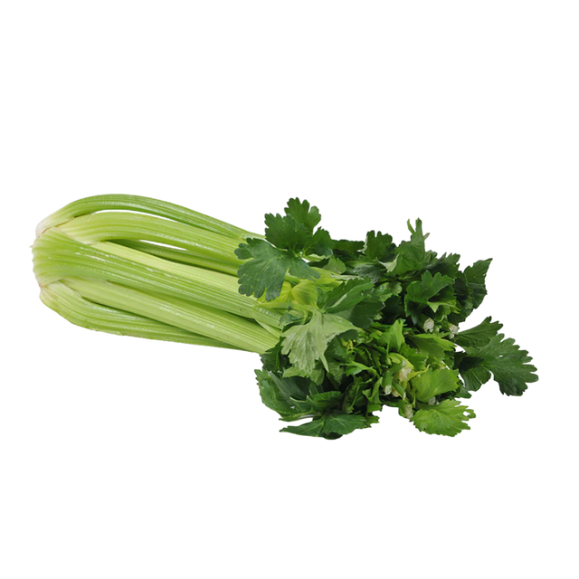 Celery Whole- Beautiful selection of fresh cut meat delivered overnight by your favourite online butcher - The Meat Box, We specialise in delivering the best cuts straight to your door across New Zealand. | Meat Delivery | NZ Online Meat