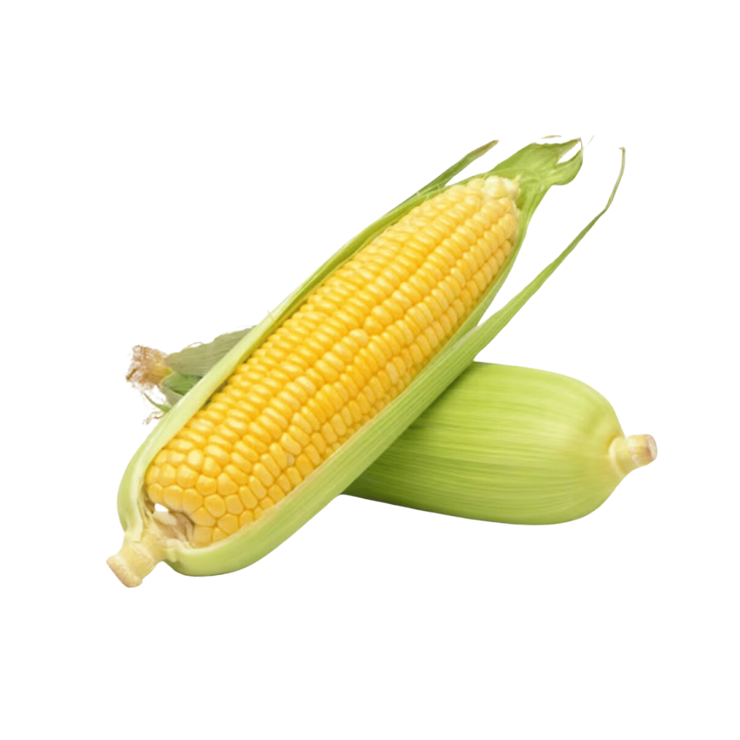 Sweet Corn- Beautiful selection of fresh cut meat delivered overnight by your favourite online butcher - The Meat Box, We specialise in delivering the best cuts straight to your door across New Zealand. | Meat Delivery | NZ Online Meat