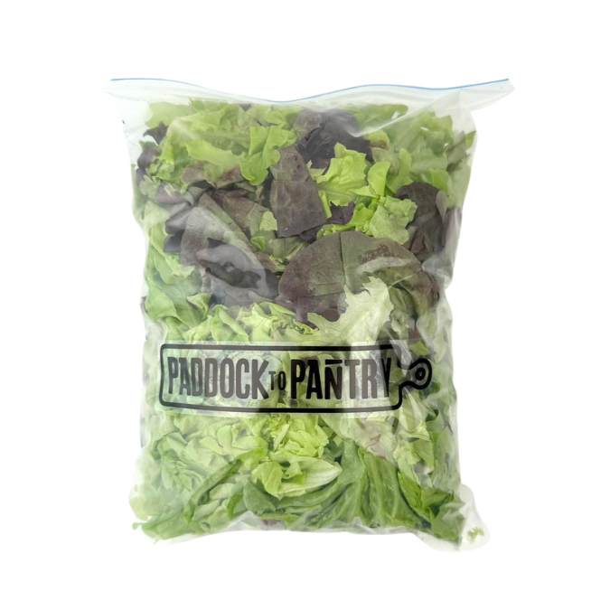Paddock To Pantry Salad Mix
