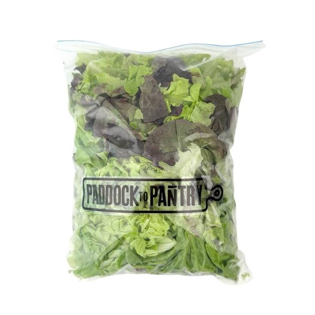 Paddock To Pantry Salad Mix- Beautiful selection of fresh cut meat delivered overnight by your favourite online butcher - The Meat Box, We specialise in delivering the best cuts straight to your door across New Zealand. | Meat Delivery | NZ Online Meat