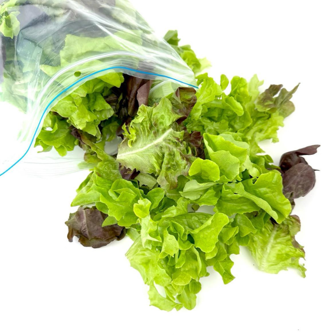 Paddock To Pantry Salad Mix